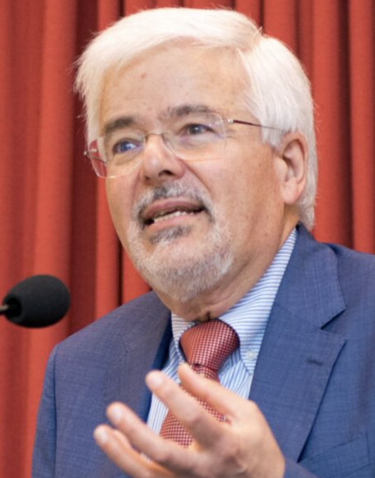 Ferdinando Arzarello foto